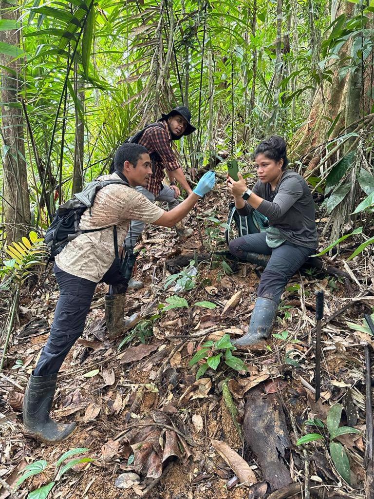 Konsenda San Blas Chepo  Bagian luar foto